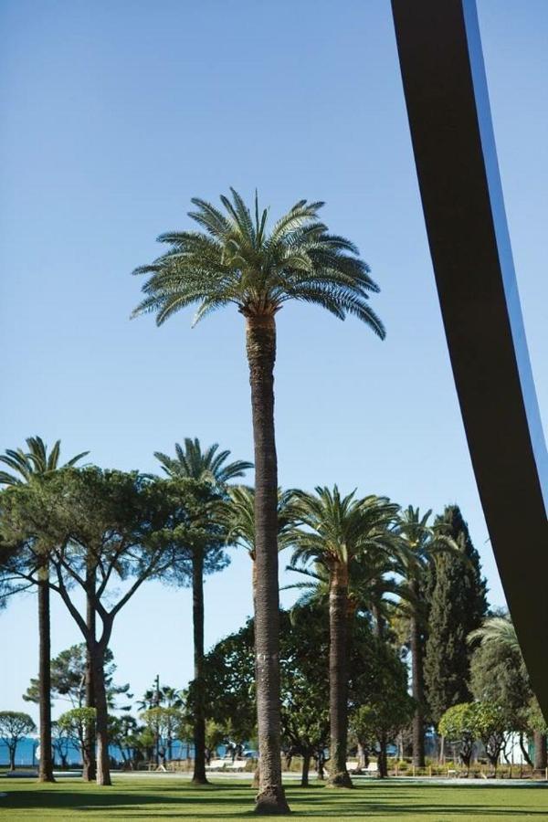 ניס Le Chateau - The Most Beautiful Sight In Old Town, Private Terrace מראה חיצוני תמונה